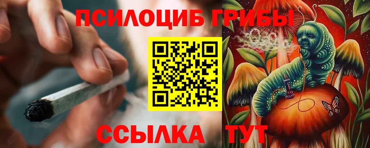 Калуга  Псилоцибиновые грибы мухоморы  Псилоцибиновые грибы Cubensis  Вход с VPN 